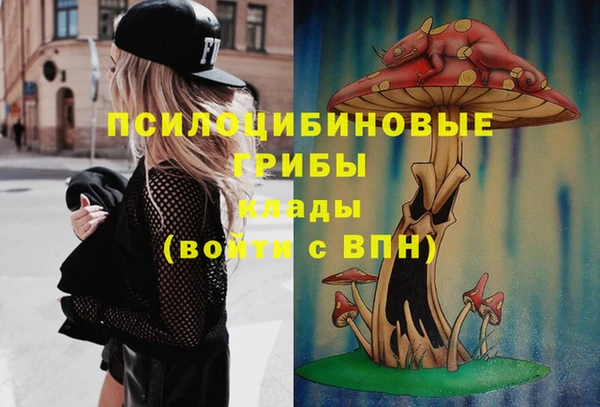 COCAINE Медногорск