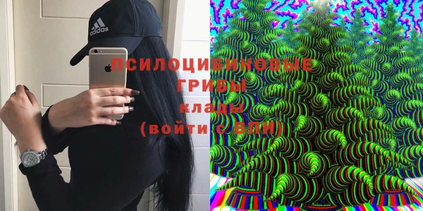 дурь Мегион