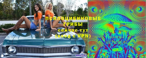 дурь Мегион