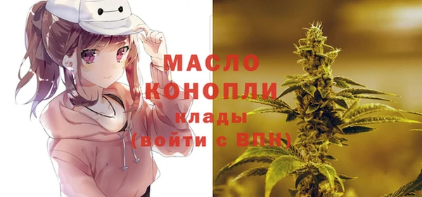 амф Почеп