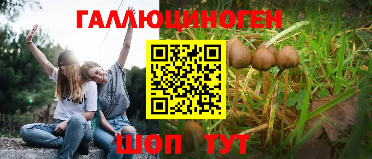 Кстово  Галлюциногенные грибы MAGIC MUSHROOMS  Вход с VPN  Галлюциногенные грибы GOLDEN TEACHER 
