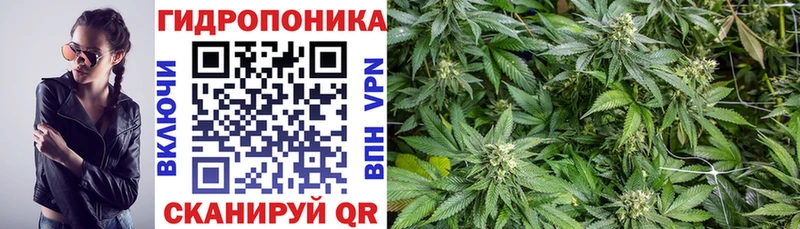 Бошки марихуана тримм  Кстово 
